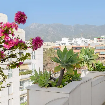 Apartment Pass The Keys Stunning Beachfront In *